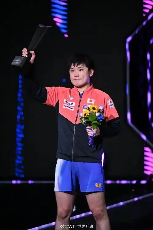 张本智和, 本智和很快